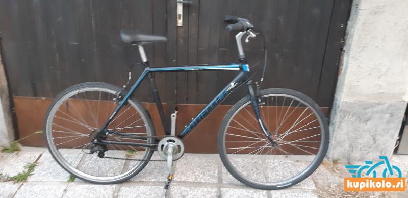 BOtlTTECCHIA