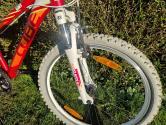 Cube Race 240 24 col